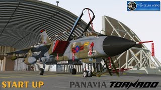 Panavia Tornado GR1 startup SSW P3Dv41 [upl. by Latoniah]