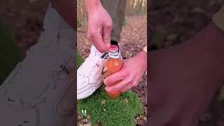 Amazing Lifehack survival lifehacks camping bushcraft [upl. by Lotta]