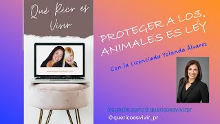 Proteger a los Animales es Ley con la Lic Yolanda Álvarez [upl. by Narag]