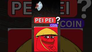 100 रूपए में 57 लाख coin crypto peipei peipeicoin pepe indiabtc [upl. by Rosalyn]