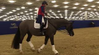 Valegro and Charlotte Dujardin Warming Up at Olympia [upl. by Salhcin]