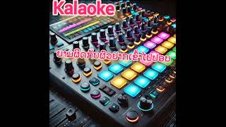 ຫລົງຮັກເມຍເຂົາ หลงรักแฟนเขา karaoke [upl. by Milli239]