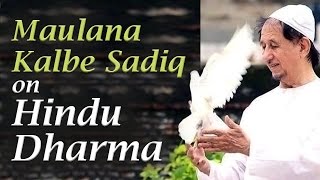 Maulana Kalbe Sadiq on Hindu Dharma at Art of Living Bangalore Ashram [upl. by Wanfried]