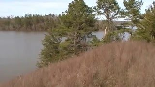 Flood December 2015Gillham Lake 2 [upl. by Nadeen397]