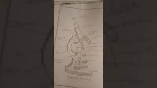 compound microscope 🔬 diagram [upl. by Gellman641]