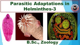 Parasitic​ Adaptations in Helminthes3 Helminthes​ Adaptation  Round and Flat worms HSR Bioinfo [upl. by Nowujalo]