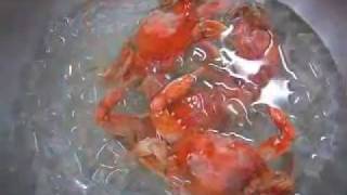 How to Boil Blue Crabs [upl. by Airotnes704]