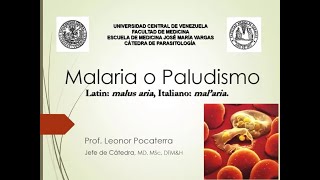 Malaria  Paludismo 2  Catedra Parasitología EJMV UCV [upl. by Ajile]