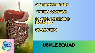 Gastrointestinal System  GIT ANATOMY  Boards and Beyond Explanation  USMLE STEP 1  Usmle [upl. by Yttam]