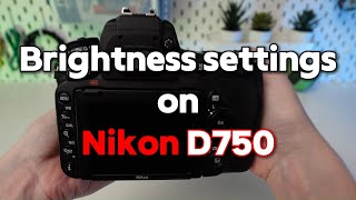 Setting Brightness Levels on Nikon D750 A StepbyStep Tutorial [upl. by Buehler]