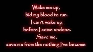 Evanescence  Wake me up Inside Lyrics [upl. by Ennaxor]