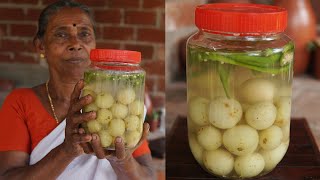 Salted Gooseberry Recipe  Nellikka Uppilittathu  Amla Pickle Recipe [upl. by Macmillan578]