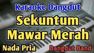 SEKUNTUM MAWAR MERAH  KARAOKE  NADA PRIA COWOK  Dangdut Band  Elvy Sukaesih  Live Keyboard [upl. by Onfre770]