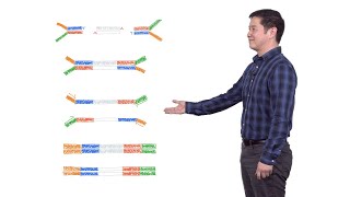 Next Generation Sequencing 2 Illumina NGS Sample Preparation  Eric Chow UCSF [upl. by Aekin]