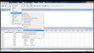 Attribute Agreement Analysis  Nominal Data [upl. by Wallas631]