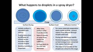 Particle Engineering using Spray Drying and Fluid Beds [upl. by Robbie262]