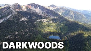 Darkwoods  Where Nature Survives  Free Documentary [upl. by Isied]