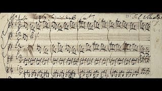 VIVALDI  LInquietudine  Concerto RV 234 in D major  Original manuscript [upl. by Derby]