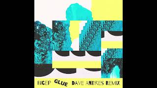 Bicep  Glue Dave Andres Remix [upl. by Adiehsar]