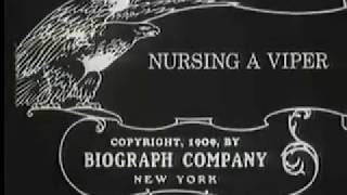 Scott Lord Silent Film Nursing a Viper DW Griffith Biograph 1909 [upl. by Aynam938]