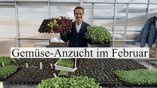 Die ersten Aussaaten des Jahres 🌱 welche Gemüsearten KÖNNEN amp MÜSSEN jetzt schon angebaut werden [upl. by Niarb]