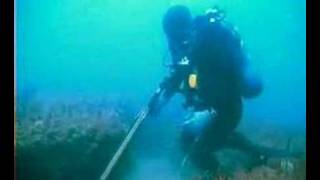 Underwater Ledge Off Myrtle Beach Coast [upl. by Anitsyrc]