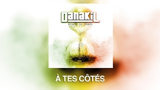 Danakil  À Tes Côtés Audio Officiel [upl. by Reginald750]