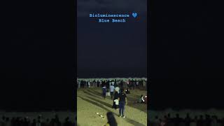 Bioluminescence 💙 Blue Beach ⛱️ Thiruvanmiyur Beach 🏖️ shorts trending beach ecr [upl. by Eilata459]