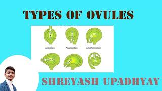 Types of ovules are coming soon I am making long video on channel BSc 2nd Year [upl. by Lleznol]