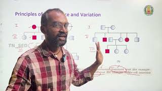 Biology  Chromosomal Basis of Inheritance  Part 2  Week2  AIISH NFAT NIEPMD NIMHANS WEEK2 [upl. by Everson924]