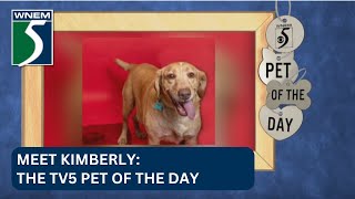 Pet of the Day Meet Kimberly [upl. by Vedetta]