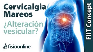 Tratamiento para dolor cervical con mareos provocado por una alteración de la vesícula biliar [upl. by Ymot368]