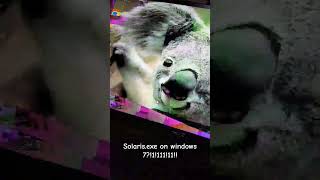 Solarisexe on windows 711 [upl. by Ahsaten]