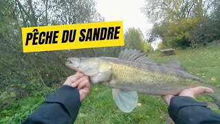 JE DÉBUTE LA PÊCHE DU SANDRE ET JE TROUVE UN SPOT DE ZINZIN PENDANT LA CRUE BIG PERCHESBIG SANDRE [upl. by Nyliac]