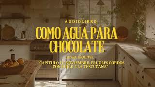 Como agua para chocolate  AUDIOLIBRO  Capítulo 11 Noviembre Frijoles gordos con chile [upl. by Arathorn903]