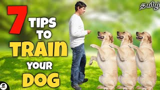 7 tips for training a dog  How to train  Basics  funny😂 [upl. by Joanna412]