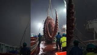 Giant Sea Monsters Caught by Fishermen 🐙🎣GiantSeaCreatures FishingDiscoveries OceanMysteries [upl. by Cristiona]