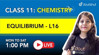 EQUILIBRIUM  Class 11 NCERT Chemistry  1 PM Class by Yakshu Maam  L16  English Medium [upl. by Hare]