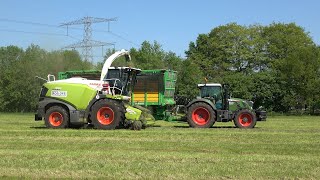 Gras hakselen door loonbedrijf Roelofs met Claas Jaguar 940 en 2 Fendt trekkers 2024 [upl. by Kristopher585]