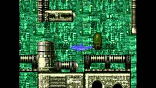 Ecco the dolphin  Welcome to the machine [upl. by Aisitel]