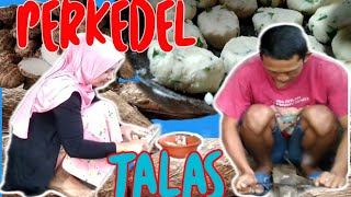 TERNYATA ENAK TALAS DI BUAT PERKEDEL [upl. by Eihs]