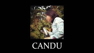 Awkarin  Candu Cover [upl. by Campman728]