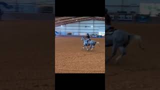 shezsoepic baileyfowler fypシ゚ 2025hopeful futurity filly workharder dedication [upl. by Jean199]