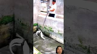 fishing crocodilian fish fishingtips [upl. by Etteoj]