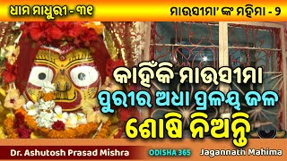 କାହିଁକି ମାଉସୀମା ପୁରୀର ଅଧା ପ୍ରଳୟ ଜଳ ଶୋଷି ନିଅନ୍ତି  Dhama Madhuri 31  Dr Ashutosh Prasad Mishra [upl. by Dorwin]