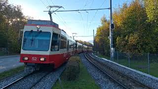 Durchfahrt vo de S18 Schnelzug nach Esslingen in Zollikon Waldburg [upl. by Diann]