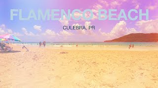 🇵🇷PR Vlog Our short trip to Flamenco Beach in Culebra [upl. by Oneal]