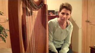 Celtic Harp Part 2  Irish American Roadtrip Visits Anne Roos [upl. by Riabuz]