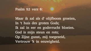 Psalm 52 vers 1 6 en 7  Waartoe u dus beroemd in t kwade [upl. by Ardnovahs]