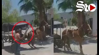 VIDEO Denuncian a hombre golpeando a un caballo en calles de Torreón [upl. by Babbette]